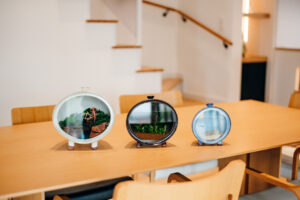 硝子店と窯元による円形水槽「TANK」販売開始！